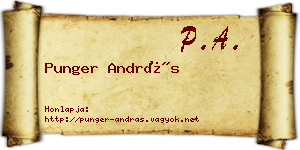 Punger András névjegykártya