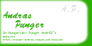 andras punger business card